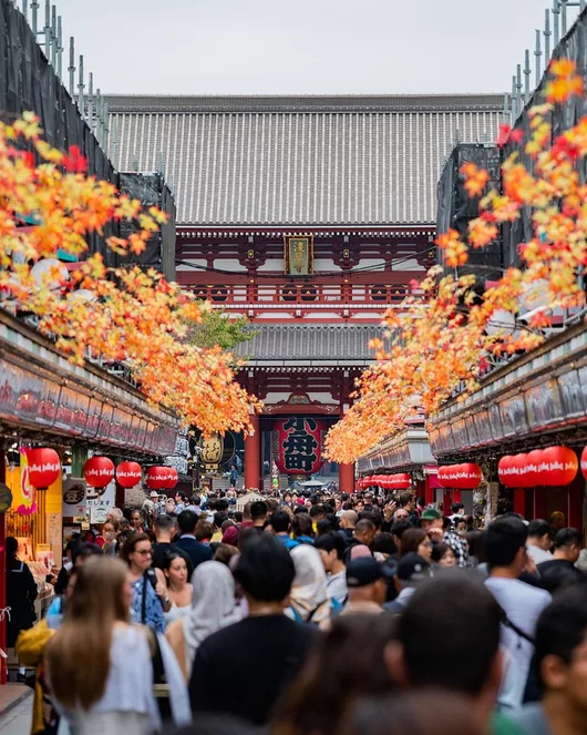 淺草陪同體驗
